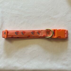 Gorgeous Vibrant Dog Collar